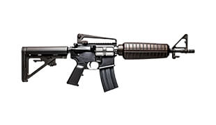 Gun