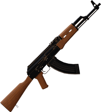 Gun